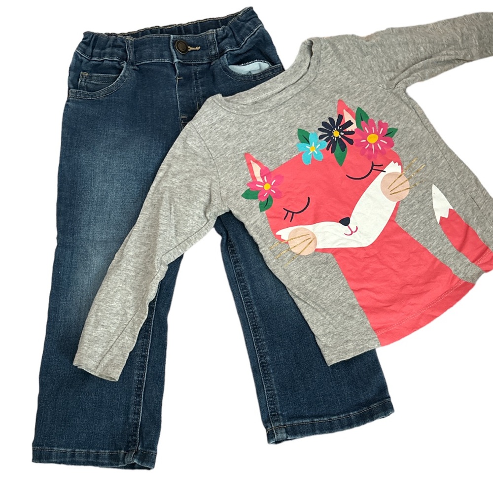 Carter's Grey Fox and Flowers Long Sleeve T-Shirt and Jeans Set, size 3